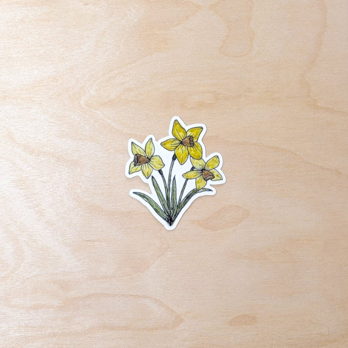 Daffodil Floral Botanical Hand-Illustrated Sticker