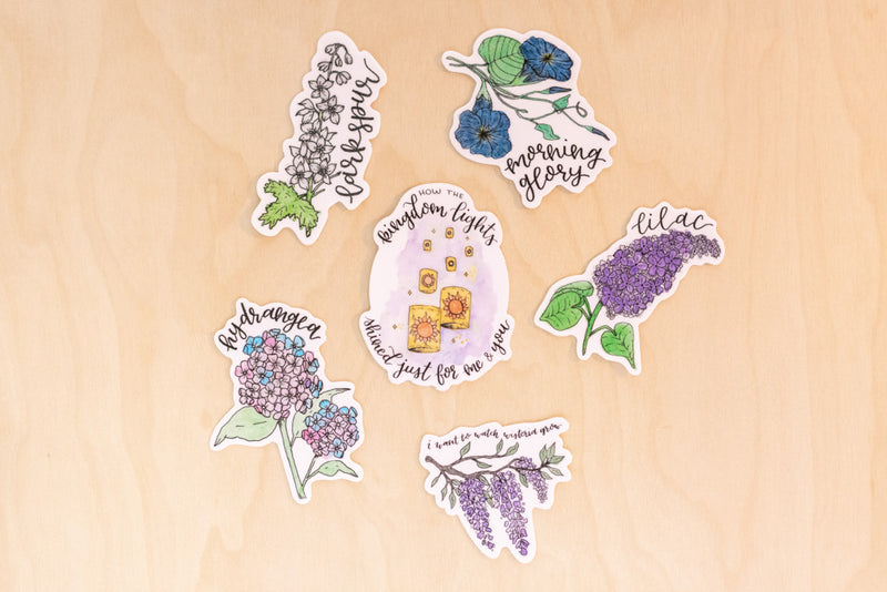 Taylor Swift Sticker Pack