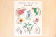 Native Plants of Texas Art Print