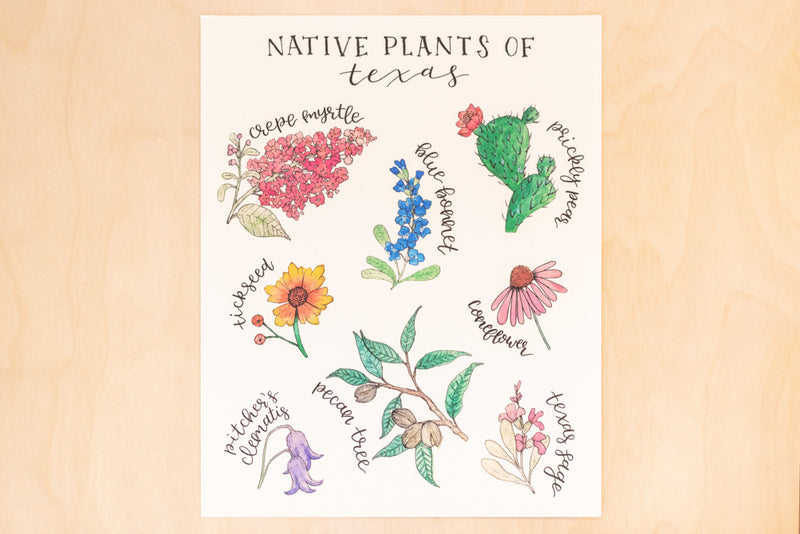 Native Plants of Texas Art Print + Sticker