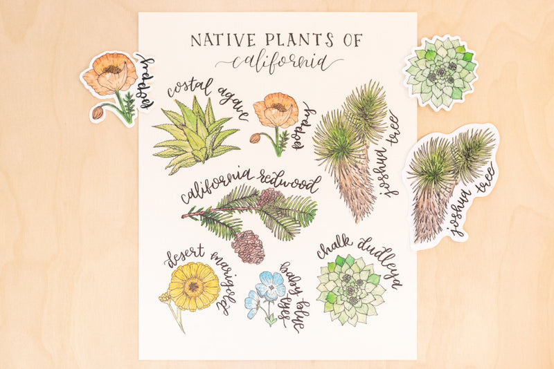Native Plants of California Art Print + Stickers