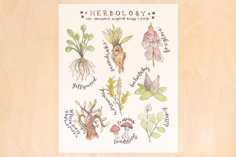 Herbology Harry Potter Art Print