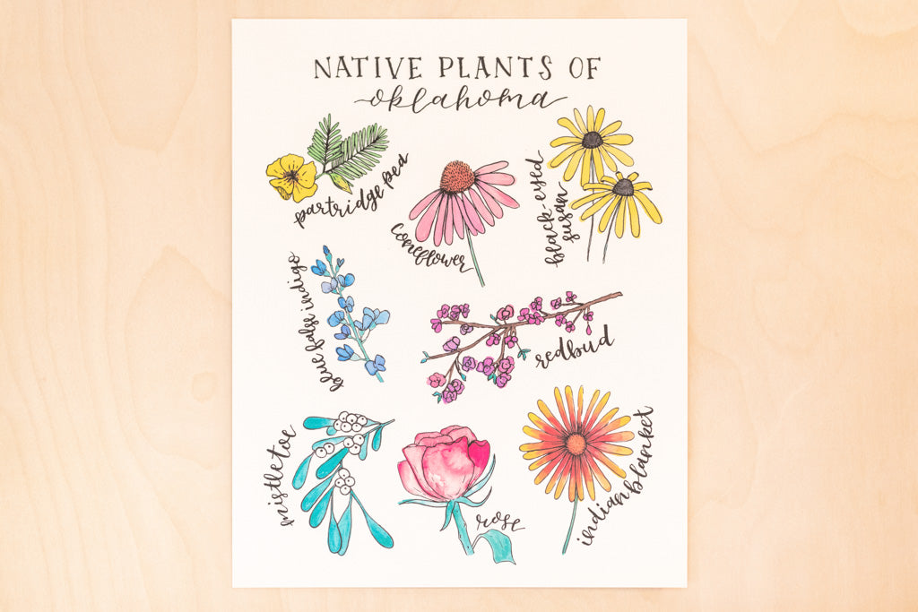 Native Plants of Oklahoma Art Print
