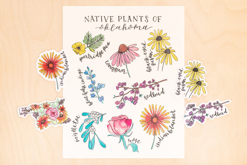 Native Plants of Oklahoma Art Print + Stickers