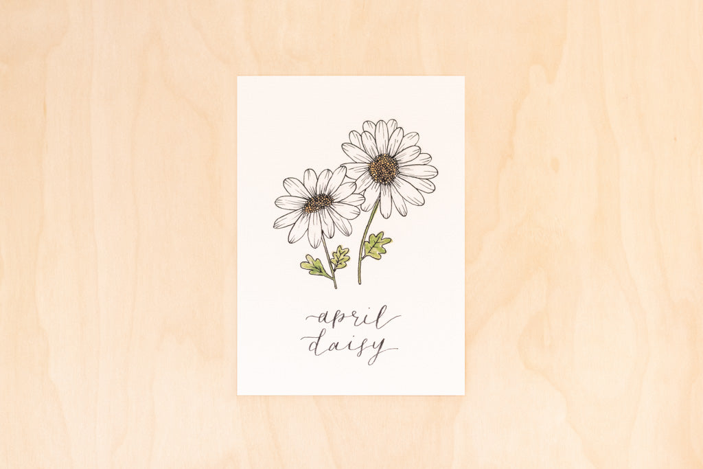 April Birth Month Daisy Floral Botanical Print