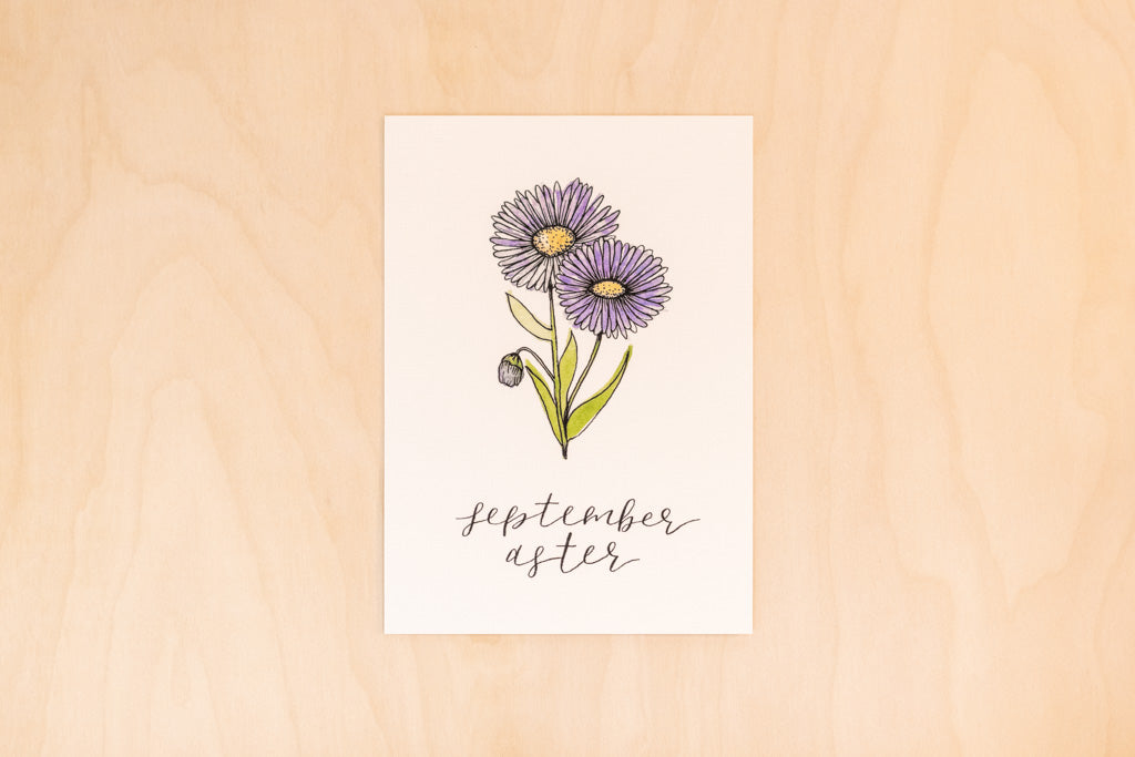 September Birth Month Aster Floral Botanical Print