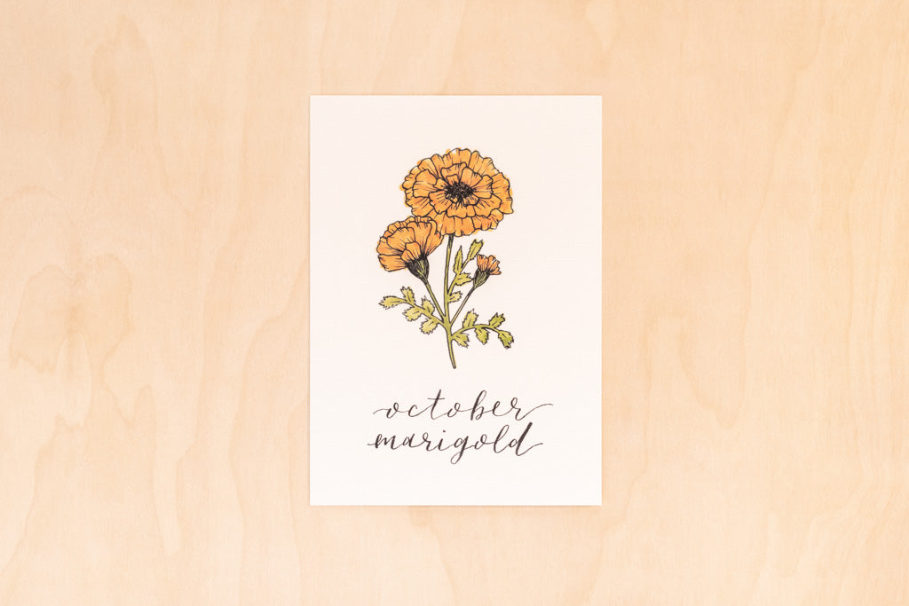 October Birth Month Marigold Botanical Print