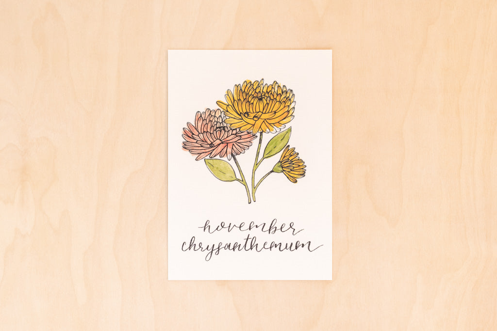 November Birth Month Chrysanthemum Print