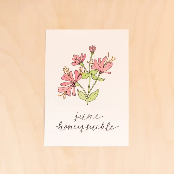 June Birth Month Honeysuckle Botanical Print