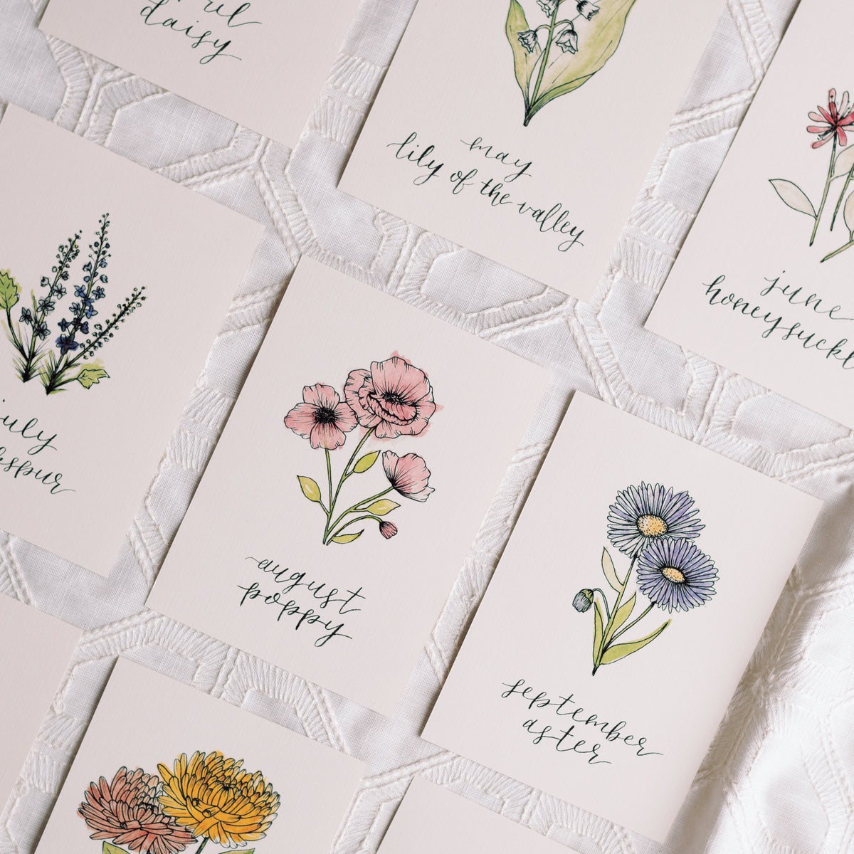 January Birth Month Carnation Floral Botanical Print
