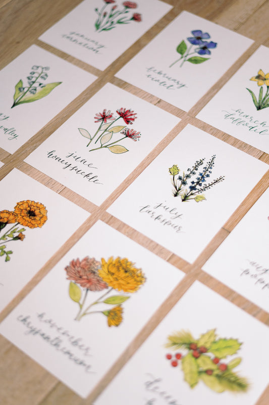 October Birth Month Marigold Botanical Print