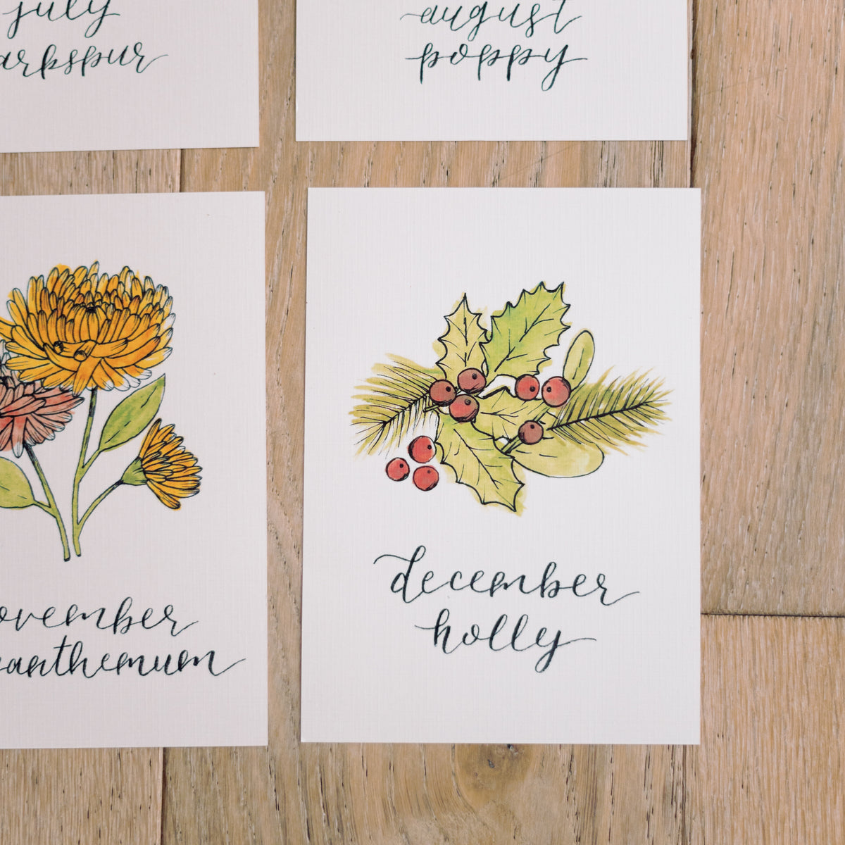 December Birth Month Holly Botanical Print